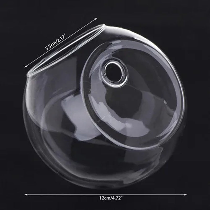 8CM/10CM/12CM Glass Vase Wall Hanging Hydroponic Terrarium Fish Tanks Potted Plant Flower Pot MAY-18A