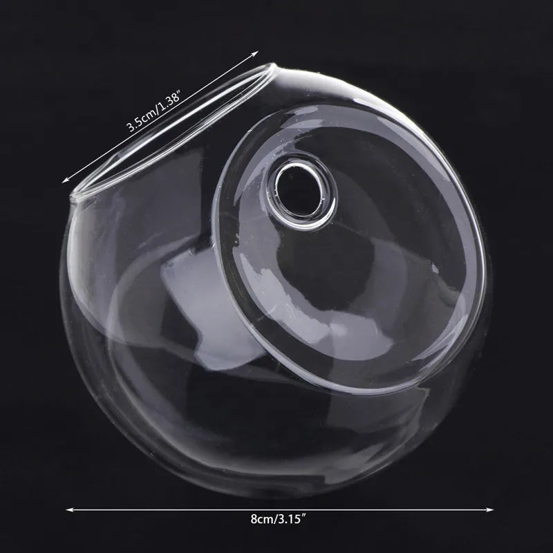 8CM/10CM/12CM Glass Vase Wall Hanging Hydroponic Terrarium Fish Tanks Potted Plant Flower Pot MAY-18A