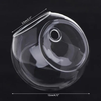 8CM/10CM/12CM Glass Vase Wall Hanging Hydroponic Terrarium Fish Tanks Potted Plant Flower Pot MAY-18A